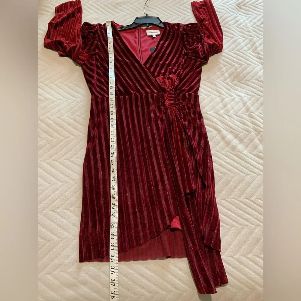 Layered With Love Yasmeen Puff Sleeve V-Neck Shadow Stripe Red Velvet Mini Dress